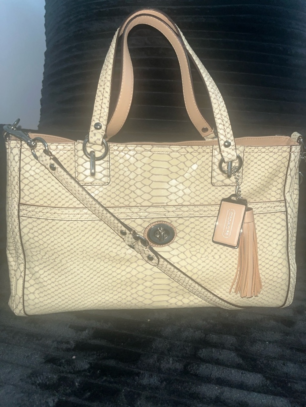 Coach Park Python Carryall, specifically model F24384.